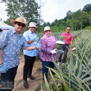 HARI PERTAMA LAWATAN KERJA TIMBALAN MENTERI KKDW KE KEDA