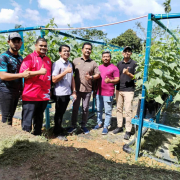 LAWATAN TW KKDW KE PROSPEK TELOI, SIK
